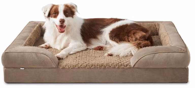 Cuccia ortopedica per cani, dimensioni L: 89x64x17 cm, colore marrone, lavabile, con struttura a nido d'ape