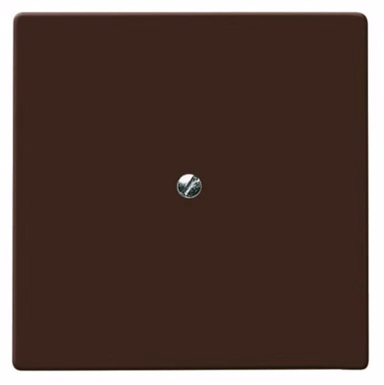 Disco centrale cieco Busch-Jaeger con anello di supporto 2138-31
