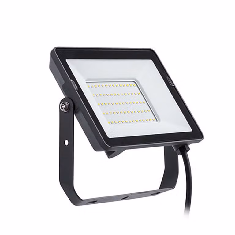 Philips - Proiettore LED Professional Projectline 50W Luce bianca fredda 6500K
