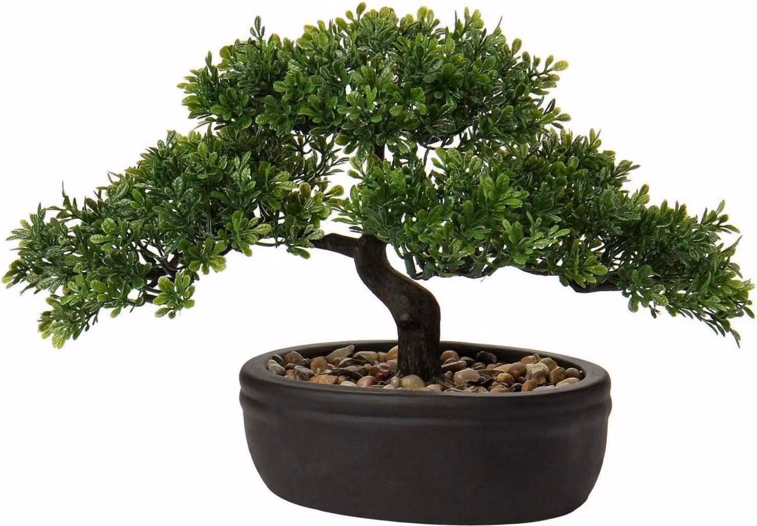 Bonsai artificiale Podocarpus cedar pine nero fioriera in Vetroceramica 25 x 23 cm