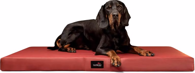 materasso ortopedico per cani ALICE EASY CLEAN in Pelle finta - misura: 100x80cm | colore: 04 rosso scuro