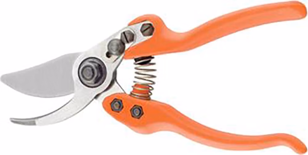 Loewe 11 Forbici Bypass Grandi 11104