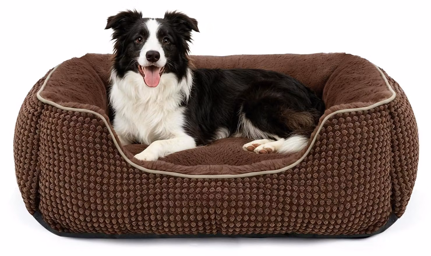 Cuccia per cani di taglia media, lavabile, dimensioni 76x61x23 cm, tappetino per cani da interno