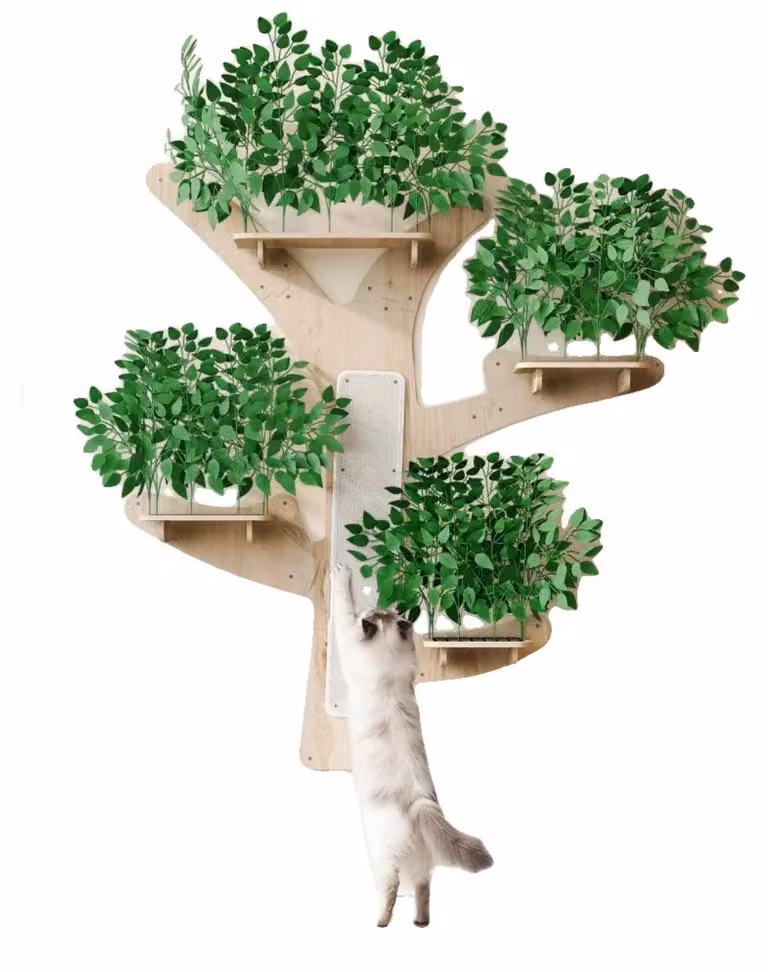 Albero per gatti, in legno massello di pino, altezza 48 pollici, larghezza 30 pollici, con quattro livelli, capacità di carico massima di 50 libbre