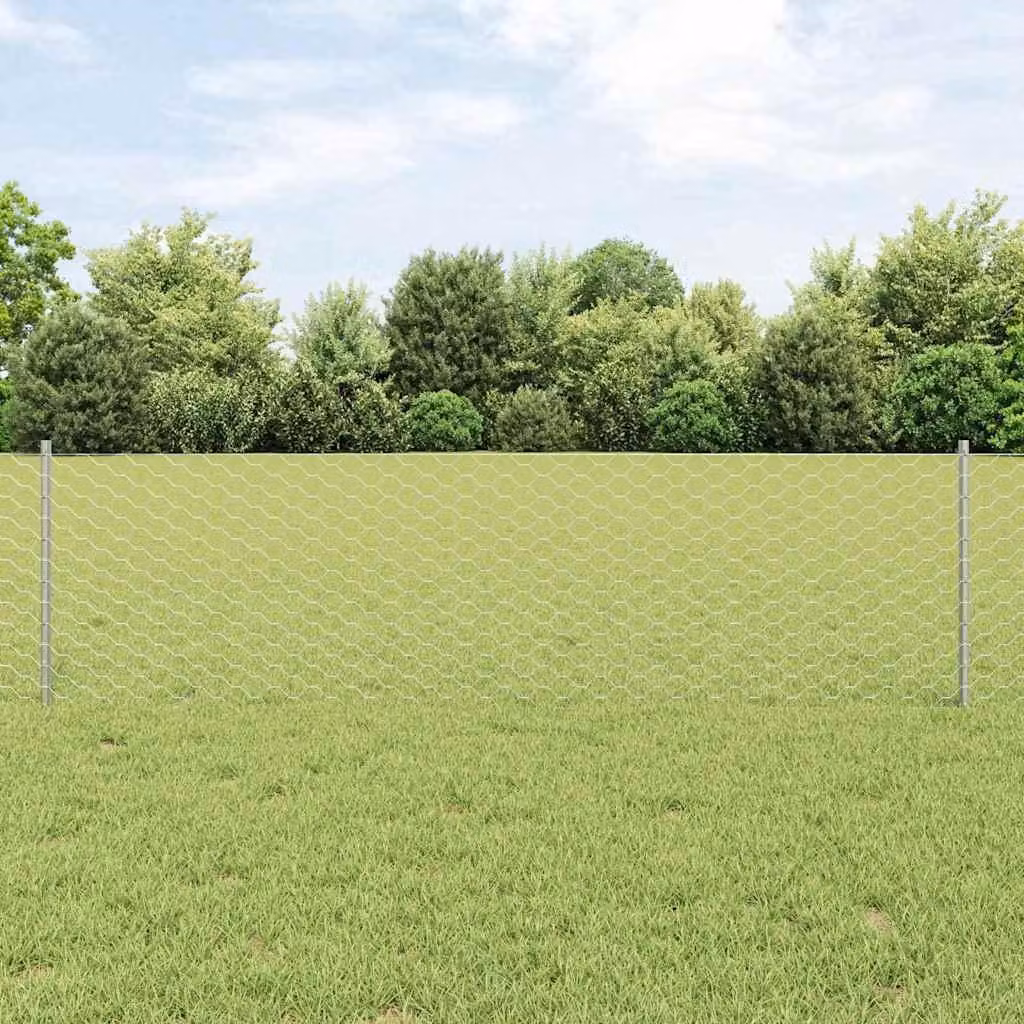 Recinzione in Rete Saldato 10 x 0,6 m (L x H)