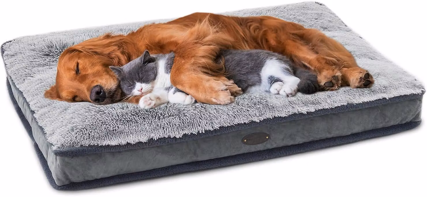 Cuccia per cani, impermeabile, grande, antiscivolo, per animali domestici, con rivestimento removibile