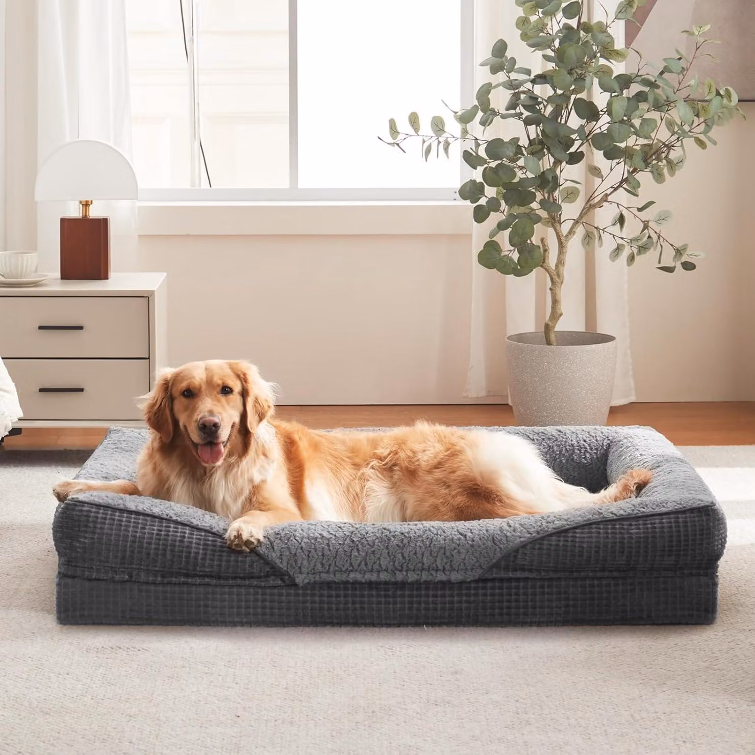 Cuccia ortopedica per cani, in memory foam, taglia XL, dimensioni 107 x 81 x 19 cm, con bordo rialzato, ideale per cani di grossa taglia