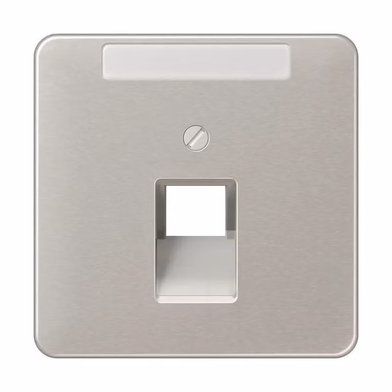 Jung CD569-1NAUAPT Copertura con campo di scrittura 6 x 37 mm platino