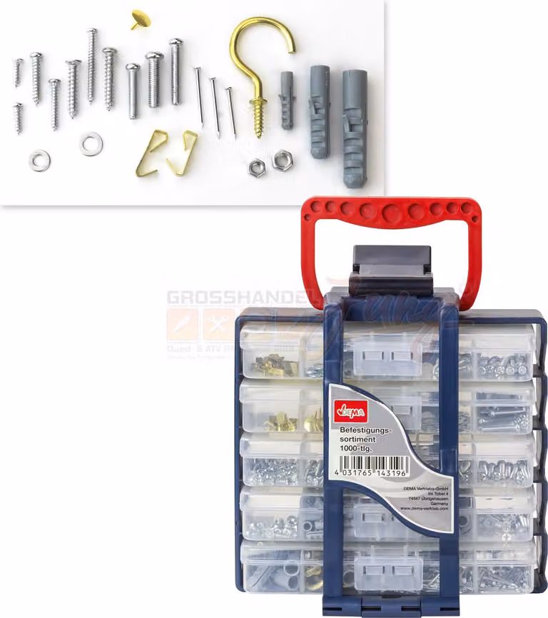 Assortimento di fissaggio 5 vaschette 1000 pz.