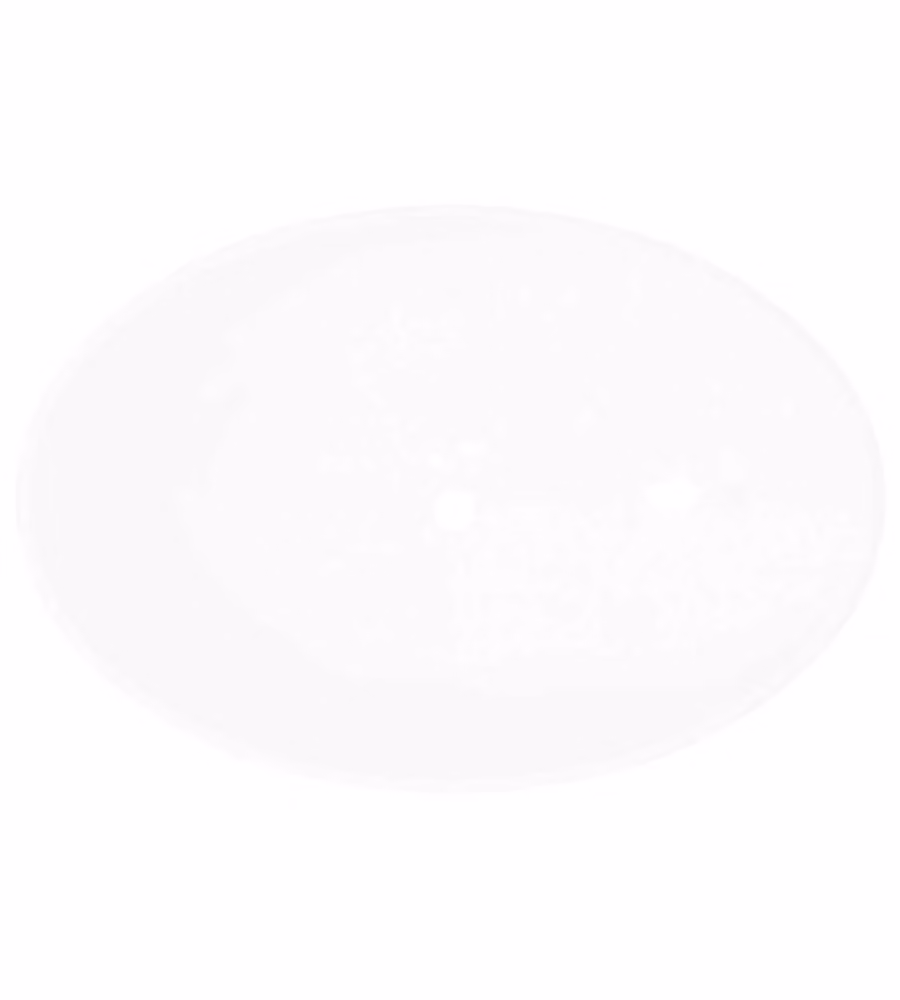 vidaXL Lavello in Ceramica Bianco Ovale da Appoggio L: 40 cm, P: 33 cm, H: 13,5 cm – 2