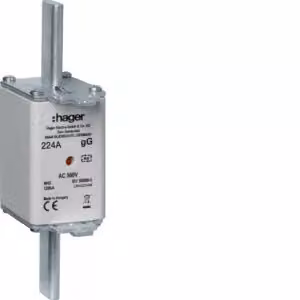 Cartuccia fusibile NH NH2C gG 500 V 224 A con segnalatore combinato e linguetta di presa in metallo