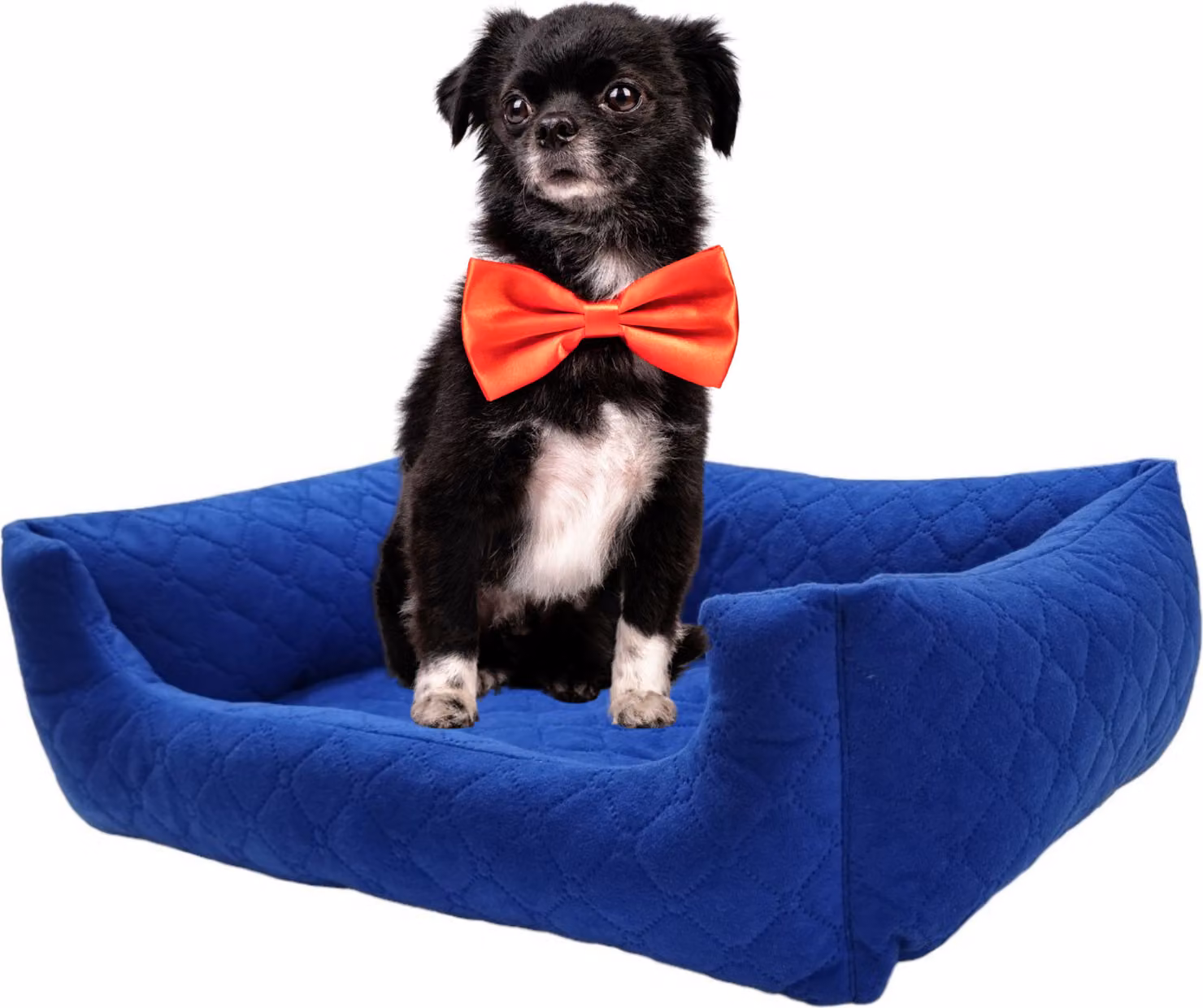 Letto per cani di piccola taglia Divano per cani Cesto per cani con bordi rialzati (70 x 60 cm blu scuro)