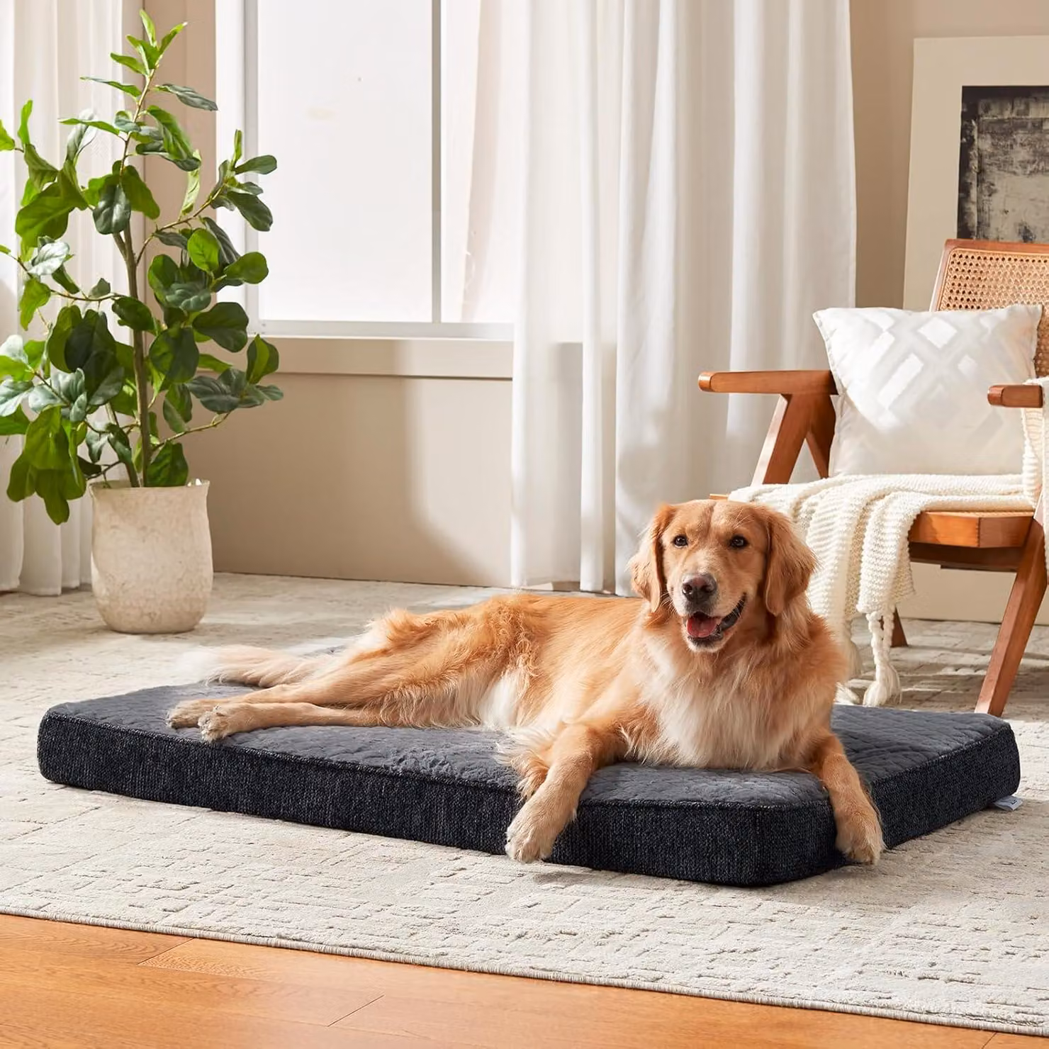 Cuccia ortopedica per cani, taglia XL, dimensioni 104 x 69 x 9 cm, realizzata in pelliccia di coniglio e tessuto tipo "chenille", lavabile, adatta a cani di grossa taglia
