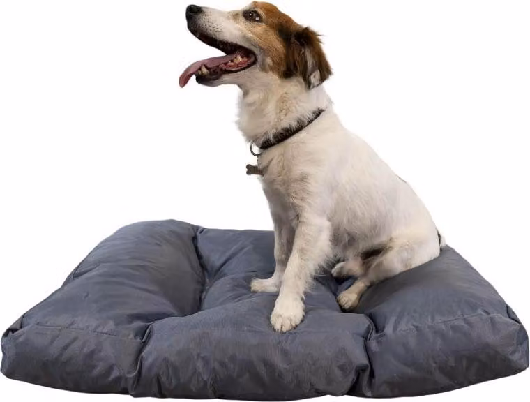 Letto per cani 75x50x10 cm BANANAIR grigio