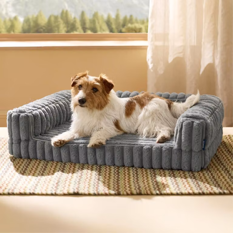 Cuccia ortopedica per cani, dimensioni M, 76x51x16,5 cm, colore grigio, con memory foam e poggiatesta