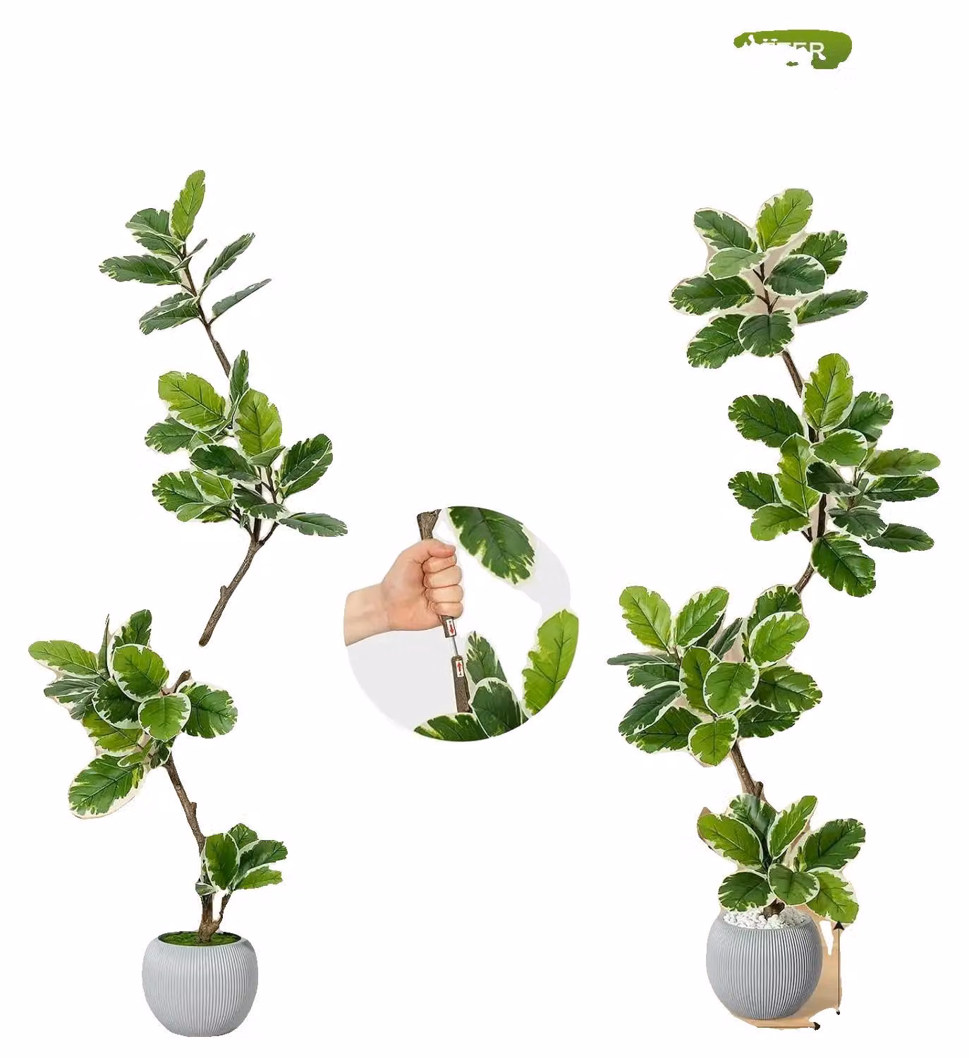 Ficus artificiale, design realistico, facile da curare, altezza 150 cm