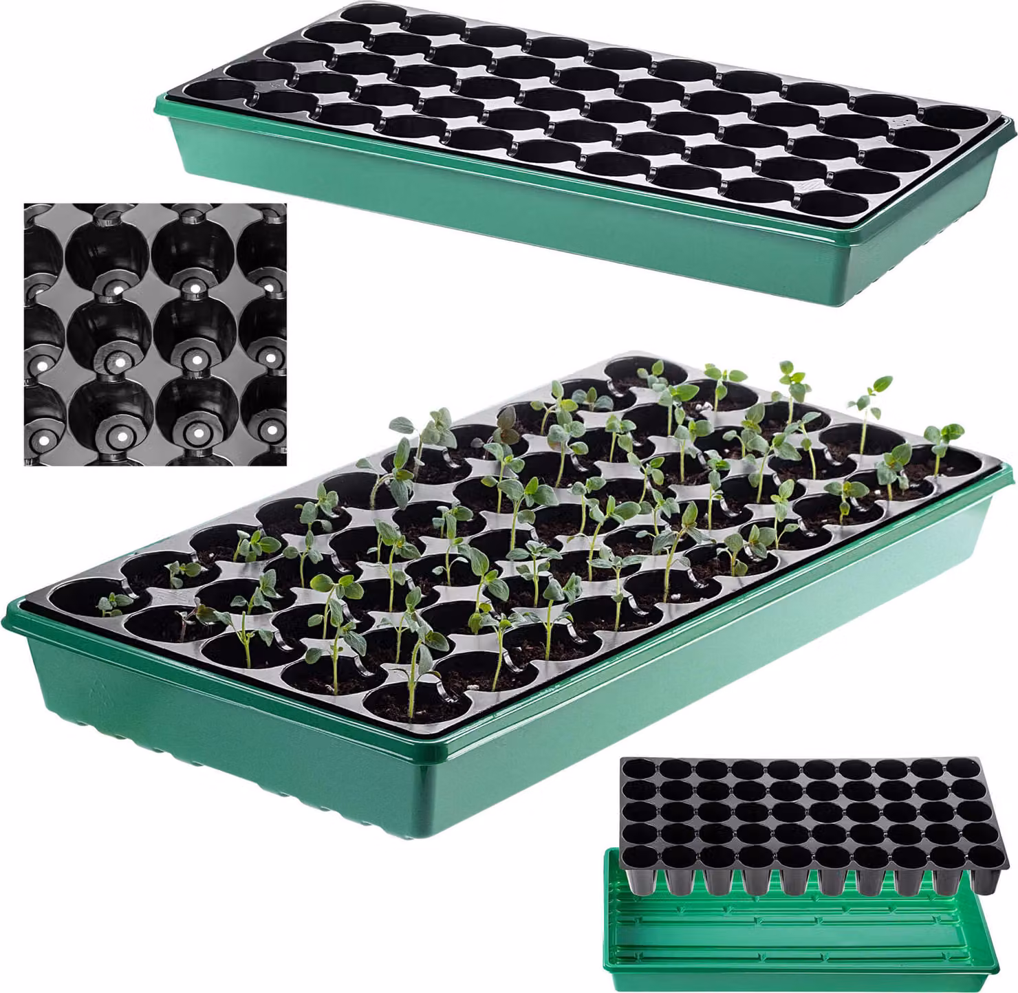 Mini-serra grande KADAX, mini-serra, serra, 50 celle, cassetta per la germinazione