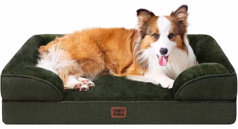 Cuccia ortopedica per cani, con memory foam, dimensioni 104x69 cm, colore verde scuro, lavabile, impermeabile, antiscivolo