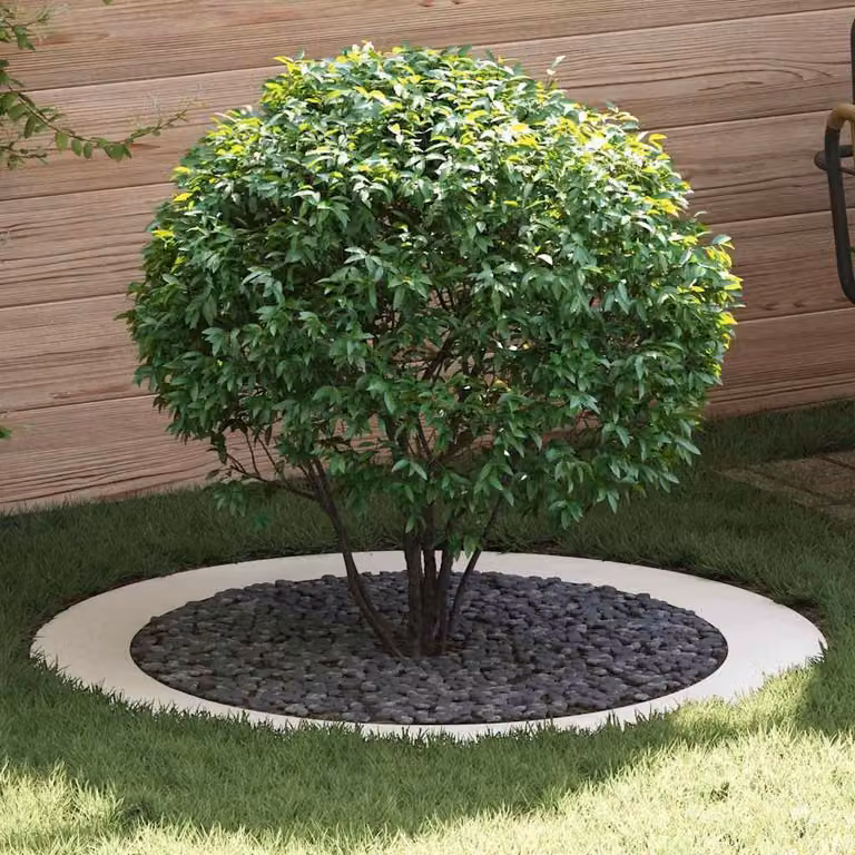 adatto per Anello d'Albero Piatto Bianco Ø90 / 120 cm Acciaio