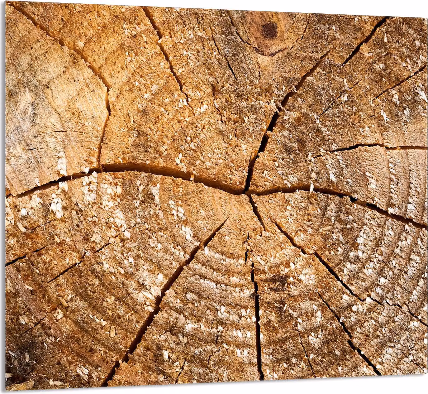 GLASPLATTE FÜR KÜCHE 65x60 Holz