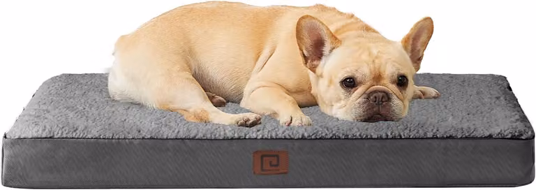 Cuccia ortopedica per cani di piccola taglia, lavabile, cuscino morbido per cani, tappetino Hunter con rivestimento removibile per divani