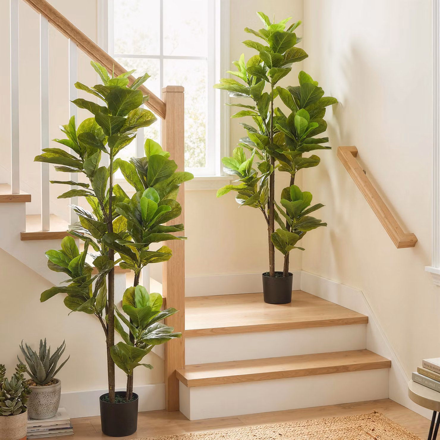 Set di 2 piante artificiali Ficus Lyrata HOMCOM con vaso in cemento, Altezza: 150 cm, Verde – 2