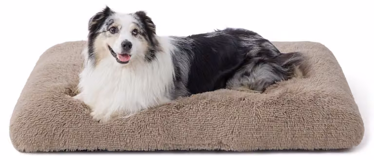 Materassino morbido per cuccia, ideale per cani di grossa taglia, lavabile e antiscivolo