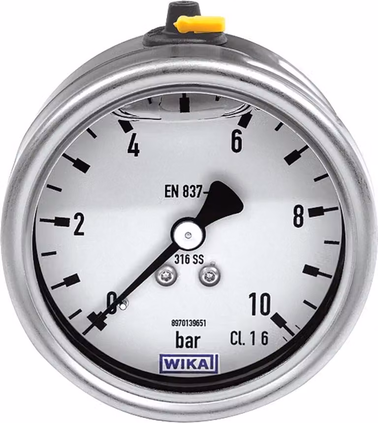 Mano di glicerina Riegler, acciaio inox, G 1/4 posteriore centrica, 0-6,0 bar, Ã˜ 63