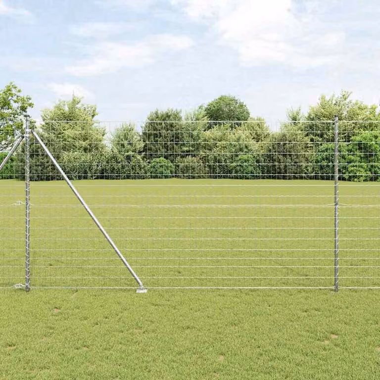 Recinzione in rete saldata con punte 10 x 1,6 m (L x A)