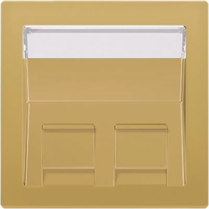 Jung ME569-30BFPLC-L Copertura con campo di scrittura 9 x 51 mm in ottone classico (laccato)