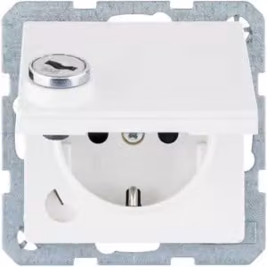 Berker 41636089, Tipo F, guida DIN, bianco, termoplastica, IP20, 250 V