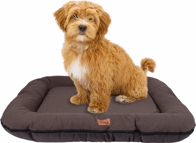 Cuccia per cani - Tappetino per cani impermeabile e lavabile in Codura | In & Outdoor per cani di taglia grande | Colore: Marrone, Misura XL: 105 x 85 cm