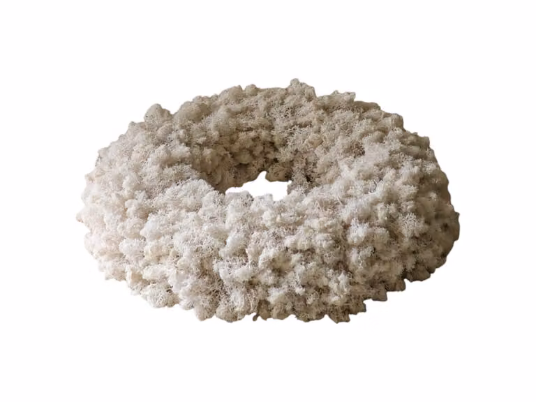 Ivory Moss Ghirlanda