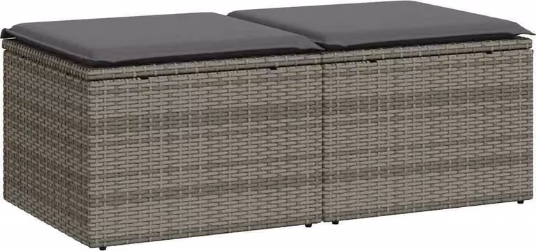 Set Divano Giardino 2 pz con Cuscini Grigio Polyrattan Acacia