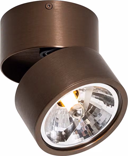 QAZQA - Design: faretto da parete moderno | faretto da soffitto | faretto orientabile | faretto da soffitto | faretto | lampada | apparecchio di illuminazione rotondo in bronzo scuro orientabile - Go Nine | soggiorno | camera da letto - alluminio rotondo