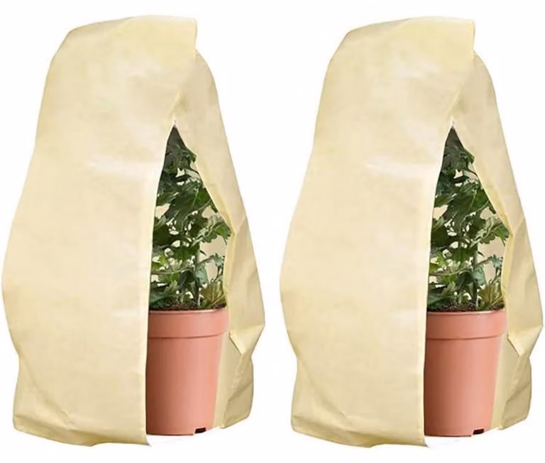Copertura protettiva per piante, 2 pezzi, 80 x 120 cm, beige, traspirante, resistente agli strappi