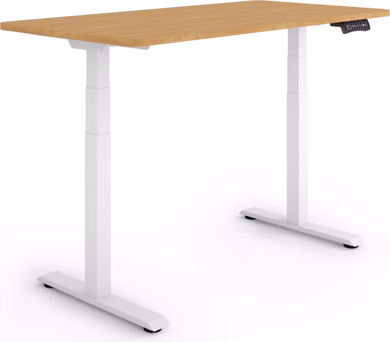 ESMART Germany EZX-132WBA 120x60cm Decorazione in bambù Scrivania ergonomica sit-stand Regolabile elettricamente in altezza in modo continuo da 60,5 a 125,5 cm 3 memorie di attività Ricordo delle attività Montaggio rapido