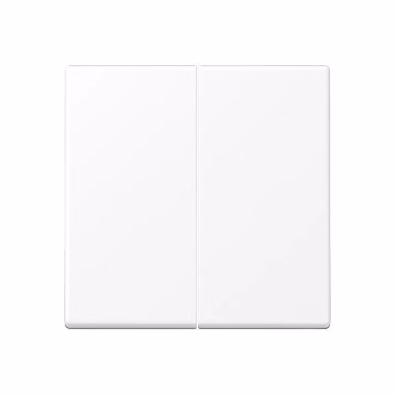 Jung Pulsante di comando doppio standard, termoplastica verniciata, Serie A, bianco neve opaco A1702BFWWM