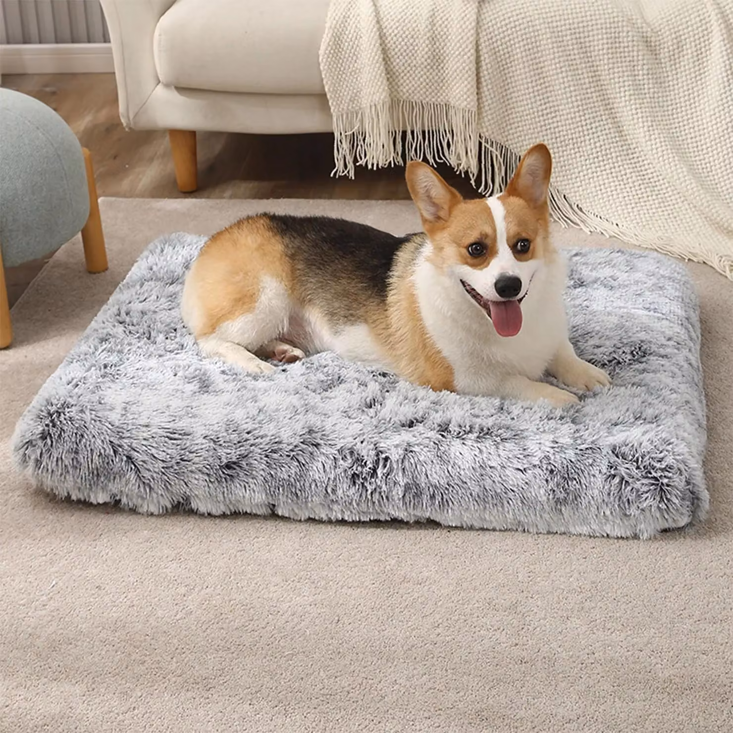 Cuccia grigia accogliente - Cuscino morbido e confortevole per cani e cuccioli - Cuccia antiscivolo e lavabile, ideale per cani di tutte le taglie