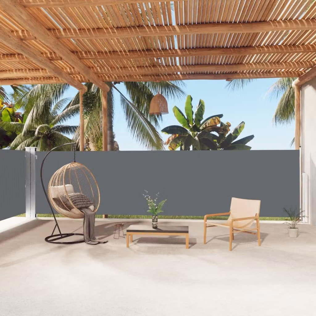 The Living Store Tenda laterale estensibile antracite 160x1000 cm