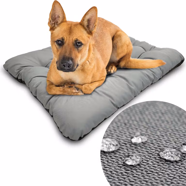Grande cuccia per cani 100x70 cm Cuscino per cani Divanetto per cani e gatti EDANTI