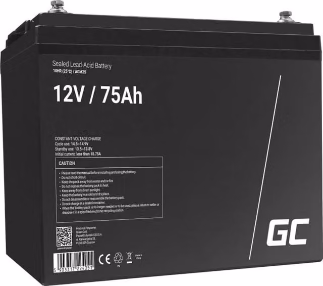 Batteria UPS al piombo sigillata Green Cell AGM25 VRLA 12 V 75 Ah nera