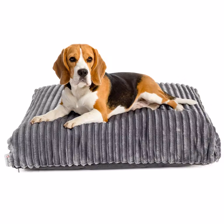 Lettino per cani Boutique ZOO XL 95x75 cm | cuscino lavabile per cani | imbottitura in silicone | aspetto scamosciato | grigio