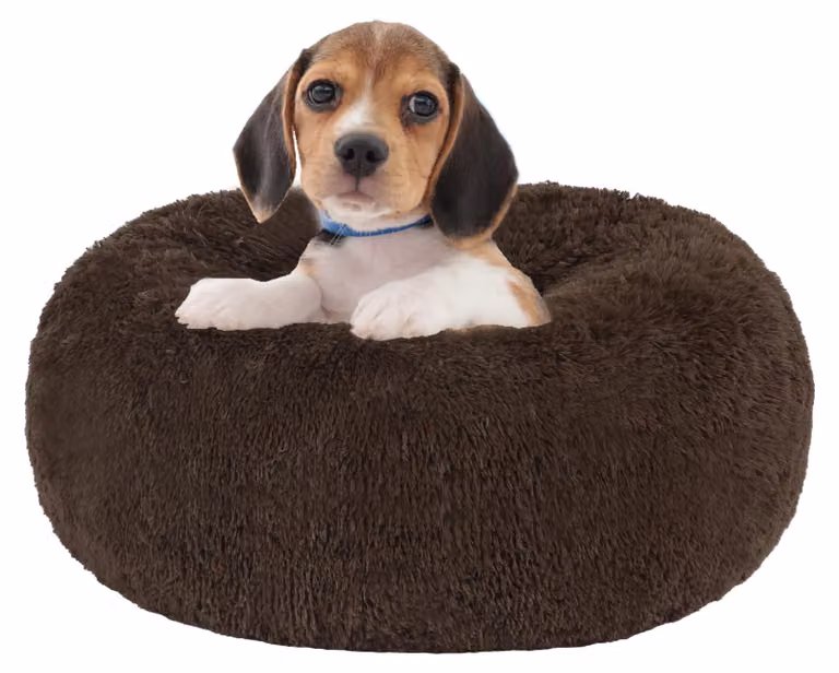 Cuccia ortopedica per cani, a forma di ciambella, 60 cm, marrone