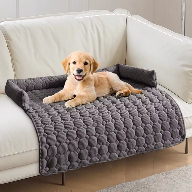 Cuccia per cani a forma di divano con bordo, 75x75 cm, grigia, lavabile