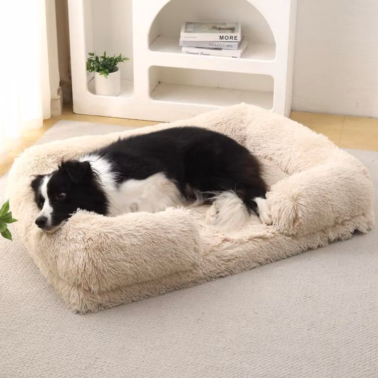 Cuccia ortopedica per cani, realizzata con schiuma a nido d'ape, base antiscivolo, rimovibile e lavabile, dimensioni L: 80x55x15 cm, colore beige