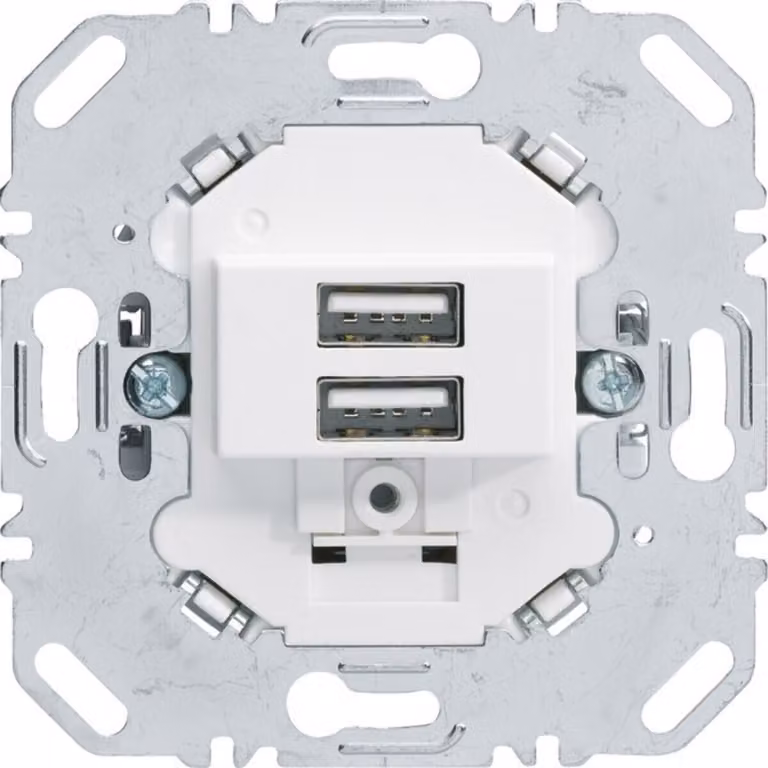 Berker Presa di ricarica USB 230V 2-gang 3A bianco polare 260209
