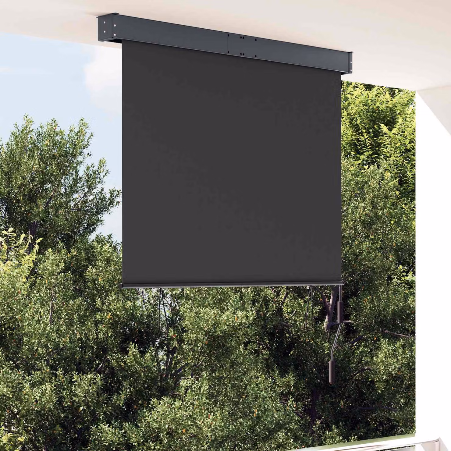 vidaXL Tenda a Rullo per Esterni 120x250 cm Antracite