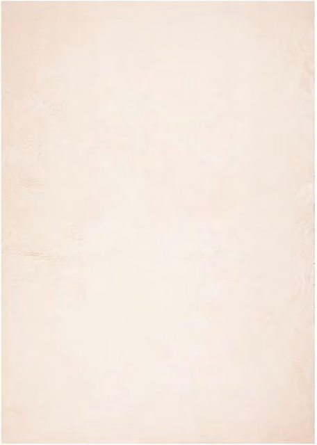 Tappeto del soggiorno | Tappeto a Pelo Corto HUARTE Morbido e Lavabile Beige 200x280 cm