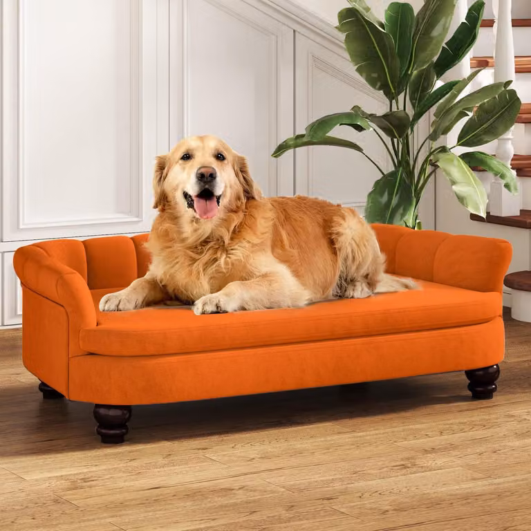 Divano per cani, con cuscini in velluto arancioni, adatto a cani di taglia grande e media, lavabile